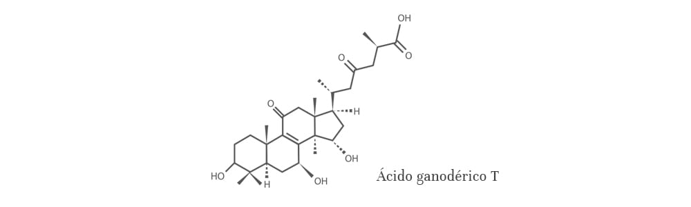 Ácido ganodérico T