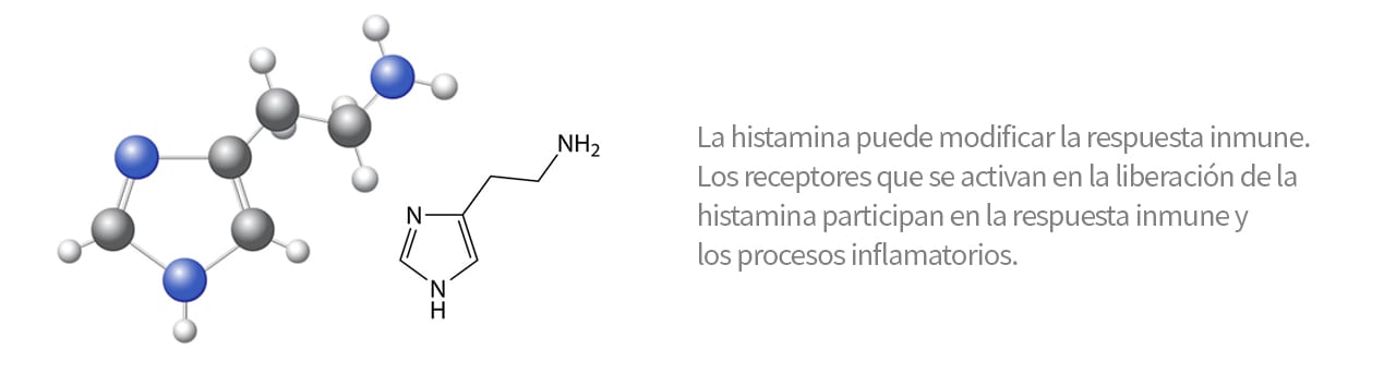 histamina: modifica respuesta inmune