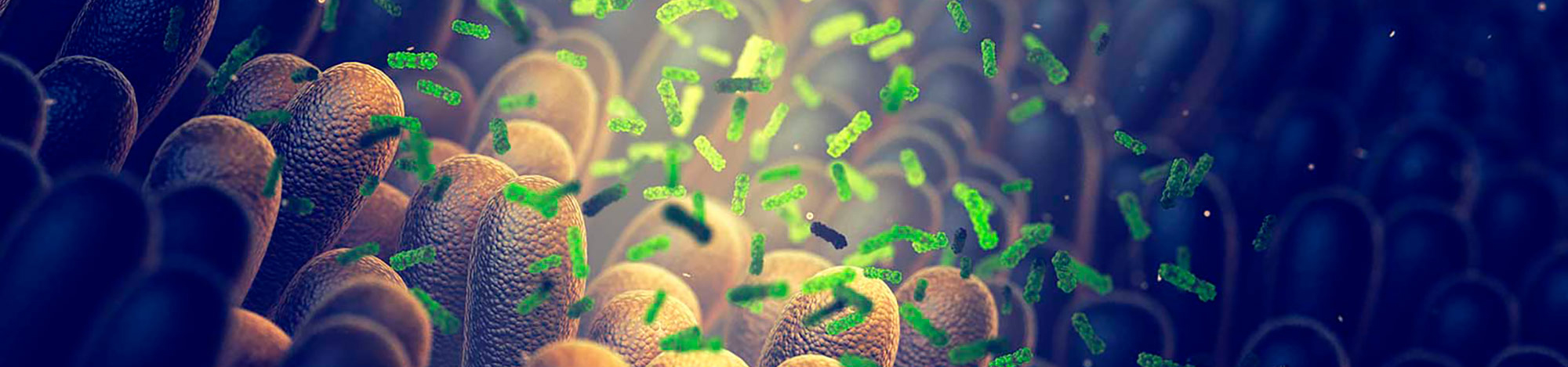 inmunidad y microbiota