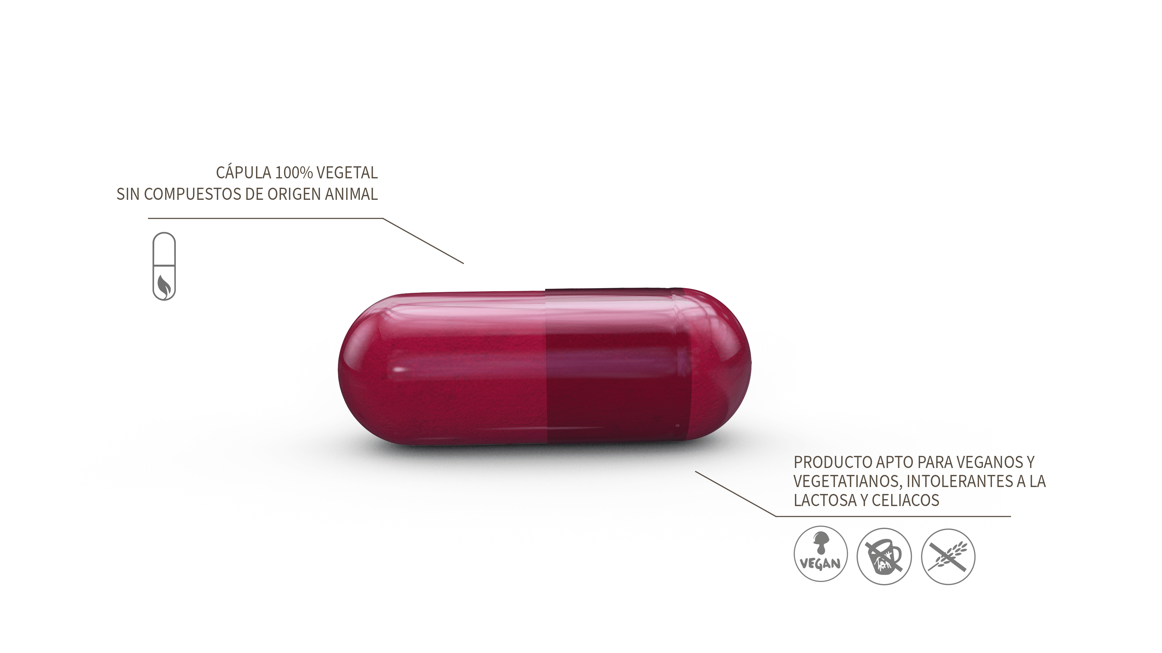 Suplemento calidad capsula vegetal y apto para celiacos