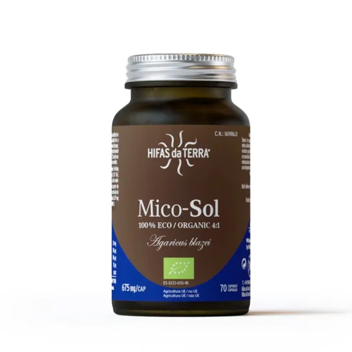 Mico-Sol Hifas da Terra